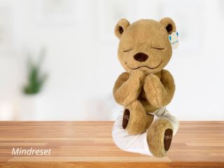 Meddy Teddy: De Yoga- & Meditatiebeer