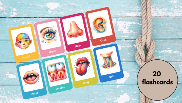 Flashcards Lichaam – Printable PDF (20 kaarten)