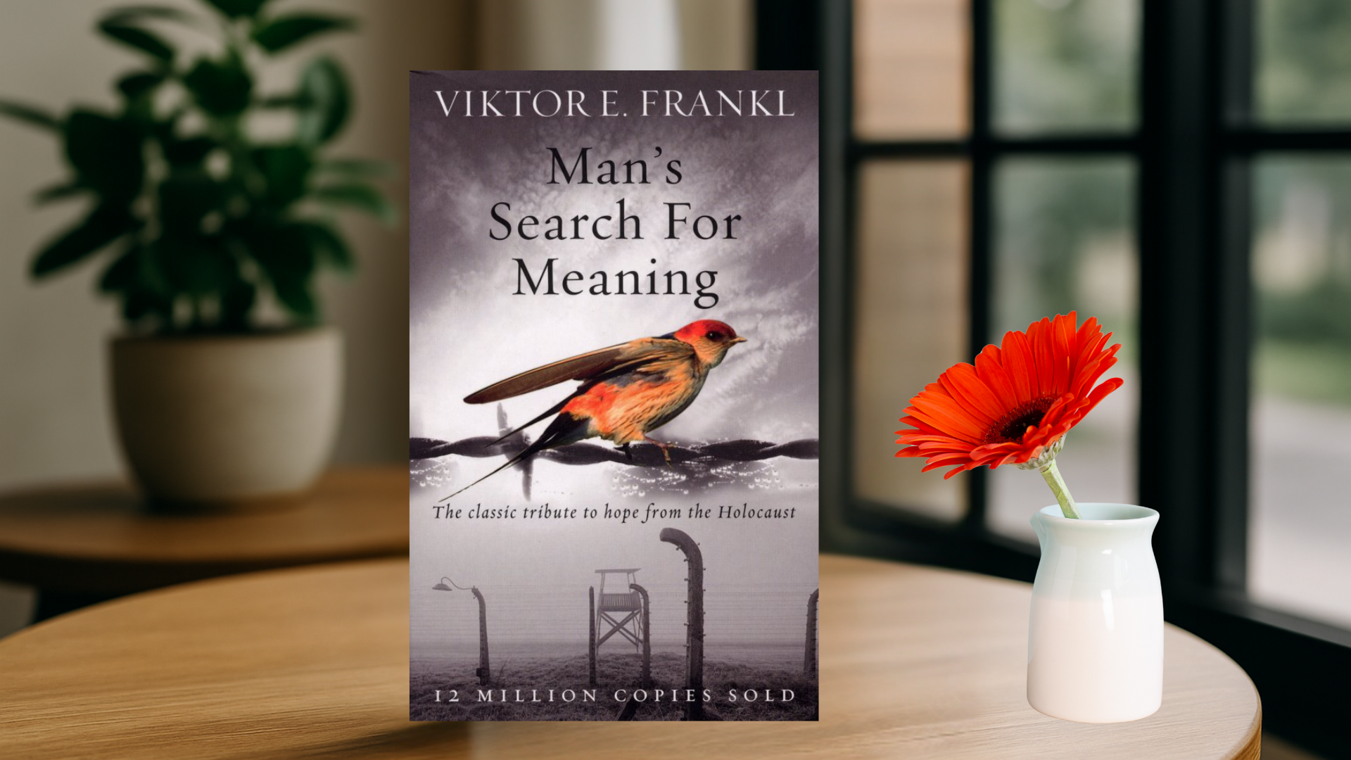 Boekreview: Man’s Search for Meaning – Viktor Frankl