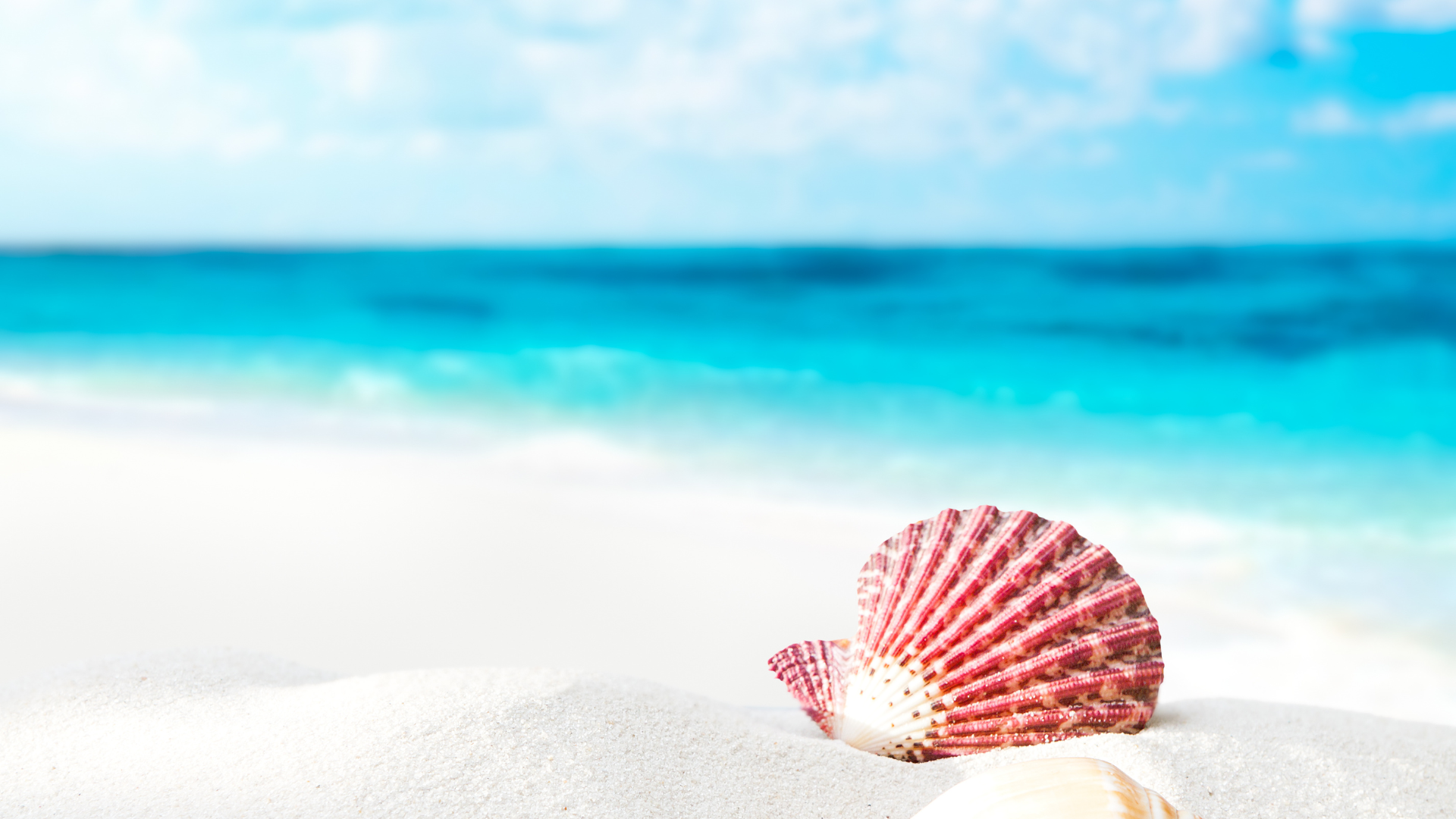 Gedicht: Glanzende schelp