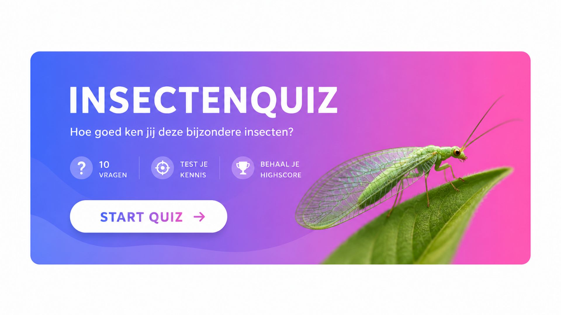 Insectenquiz: herken jij deze 10 bijzondere insecten?